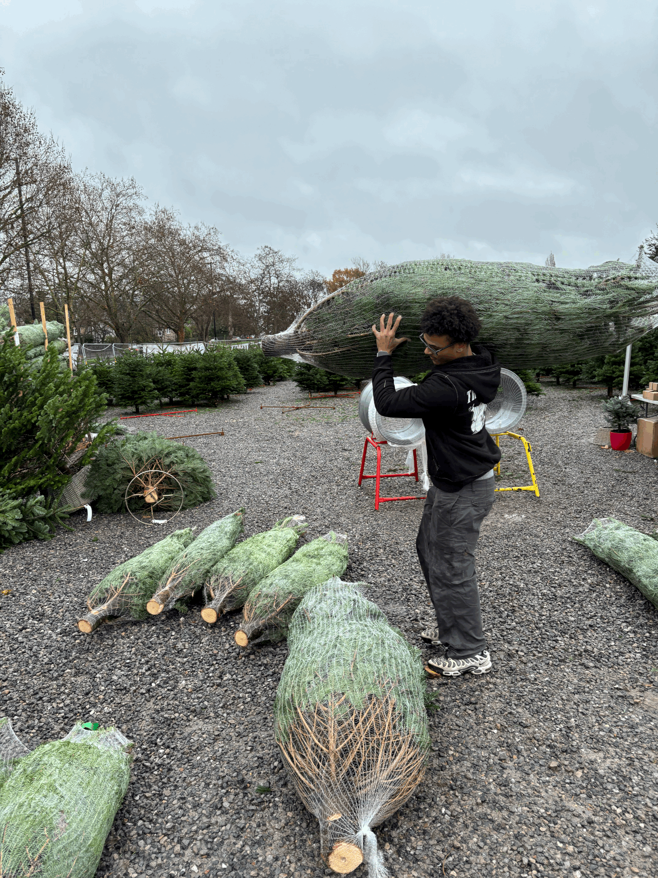 TCS team delivering Christmas trees for the fundraiser